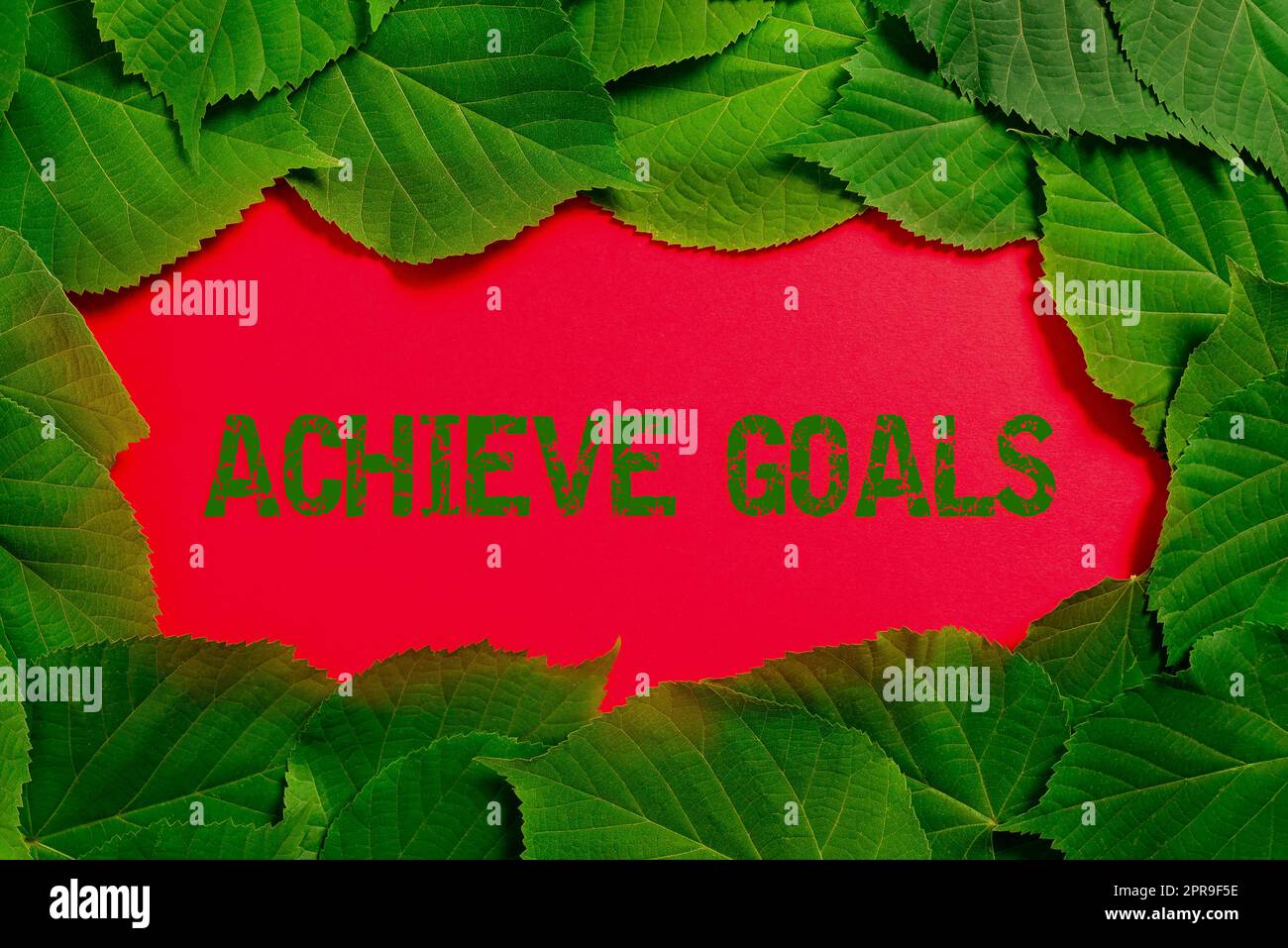 Sign displaying Achieve Goals. Business approach Results oriented Reach Target Effective Planning Succeed Important Informations Written On Paper Under Lot Of Leaves. Stock Photo