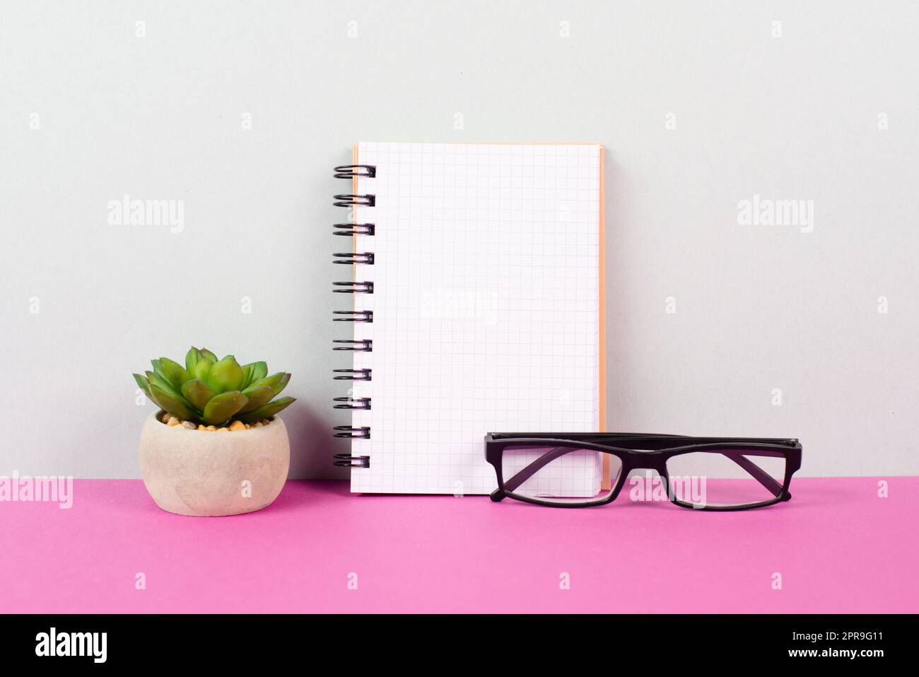 Empty notebook with a pen, eyeglasses and a cactus on a background, brainstorming for new ideas, writing a message, taking a break, home office desk Stock Photo