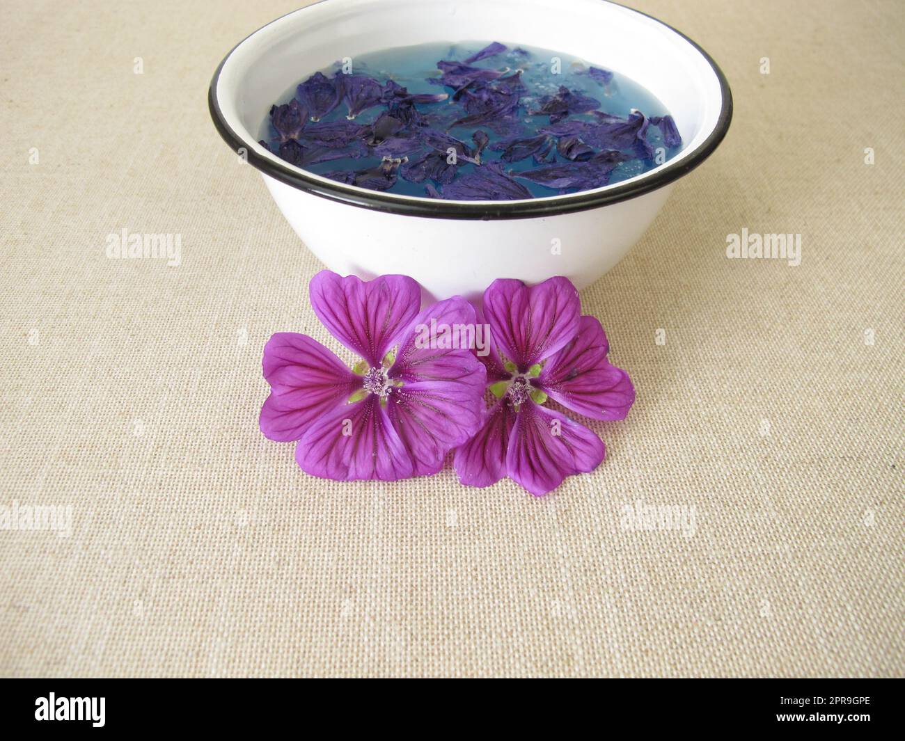 Blue dye bath with mallow flowers, blue plant color Stock Photo