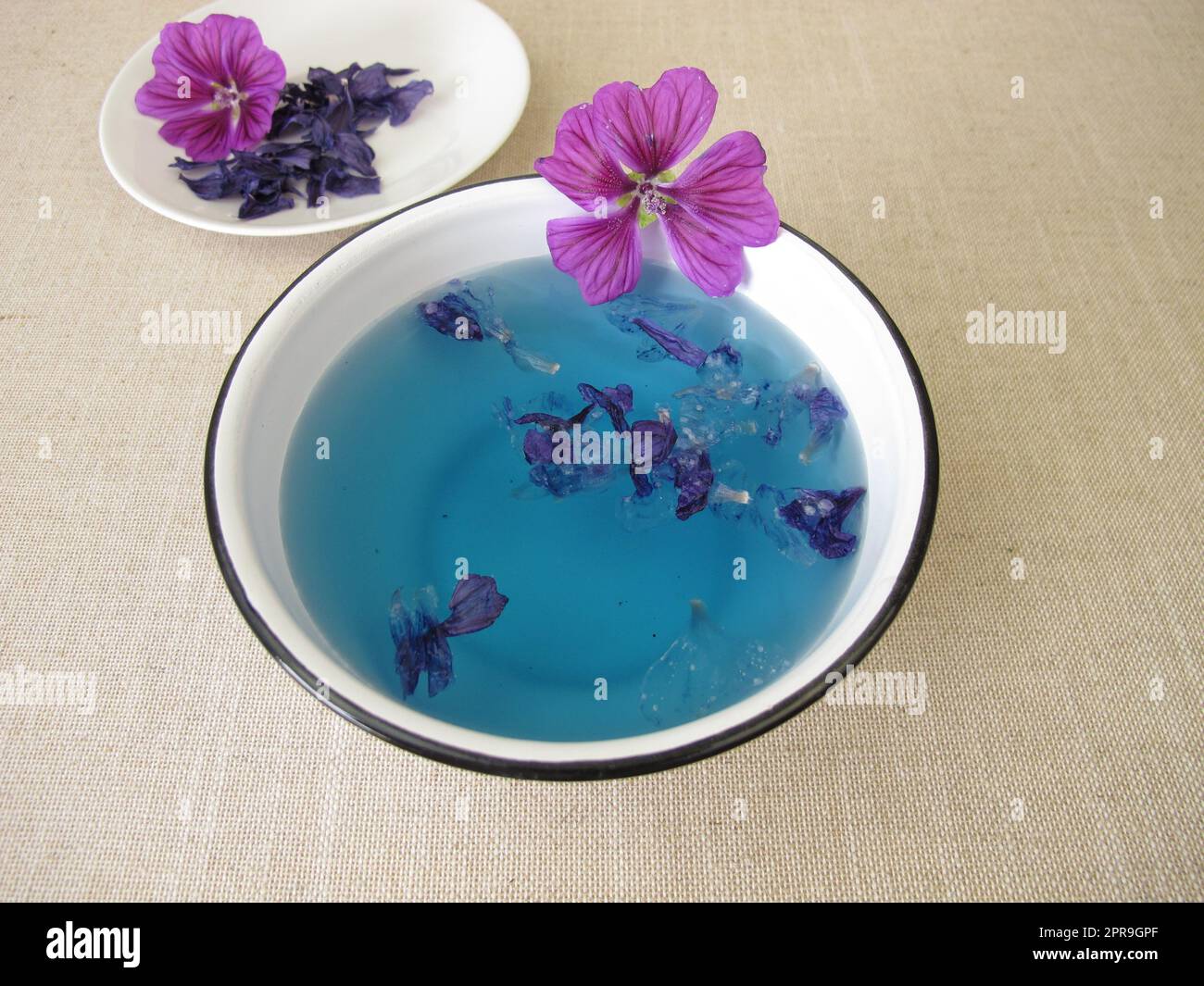 Blue dye bath with mallow flowers, blue plant color Stock Photo
