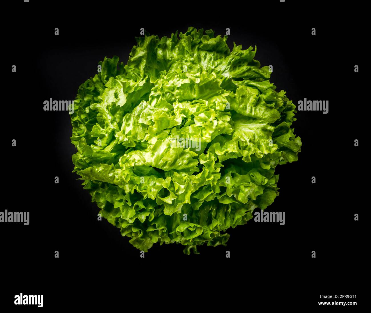 Lettuce salad isolated on a black background Stock Photo