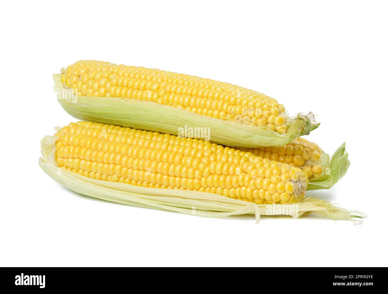 Stack of corn cobs with yellow grains isolated on white background