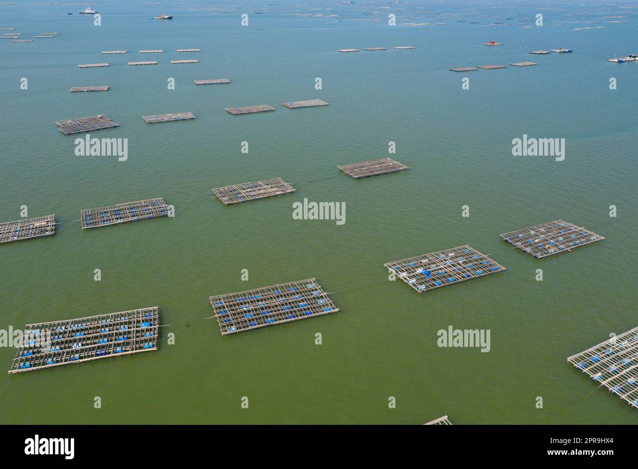 Top view of oyster farm Stock Photo Alamy