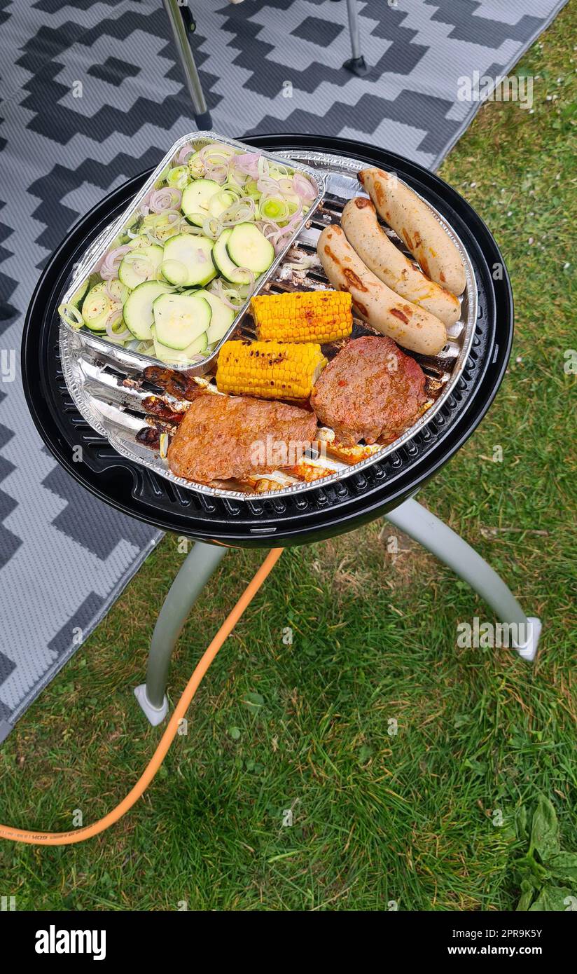 Barbecue at the campground at summer camp trips, skewers of pork and