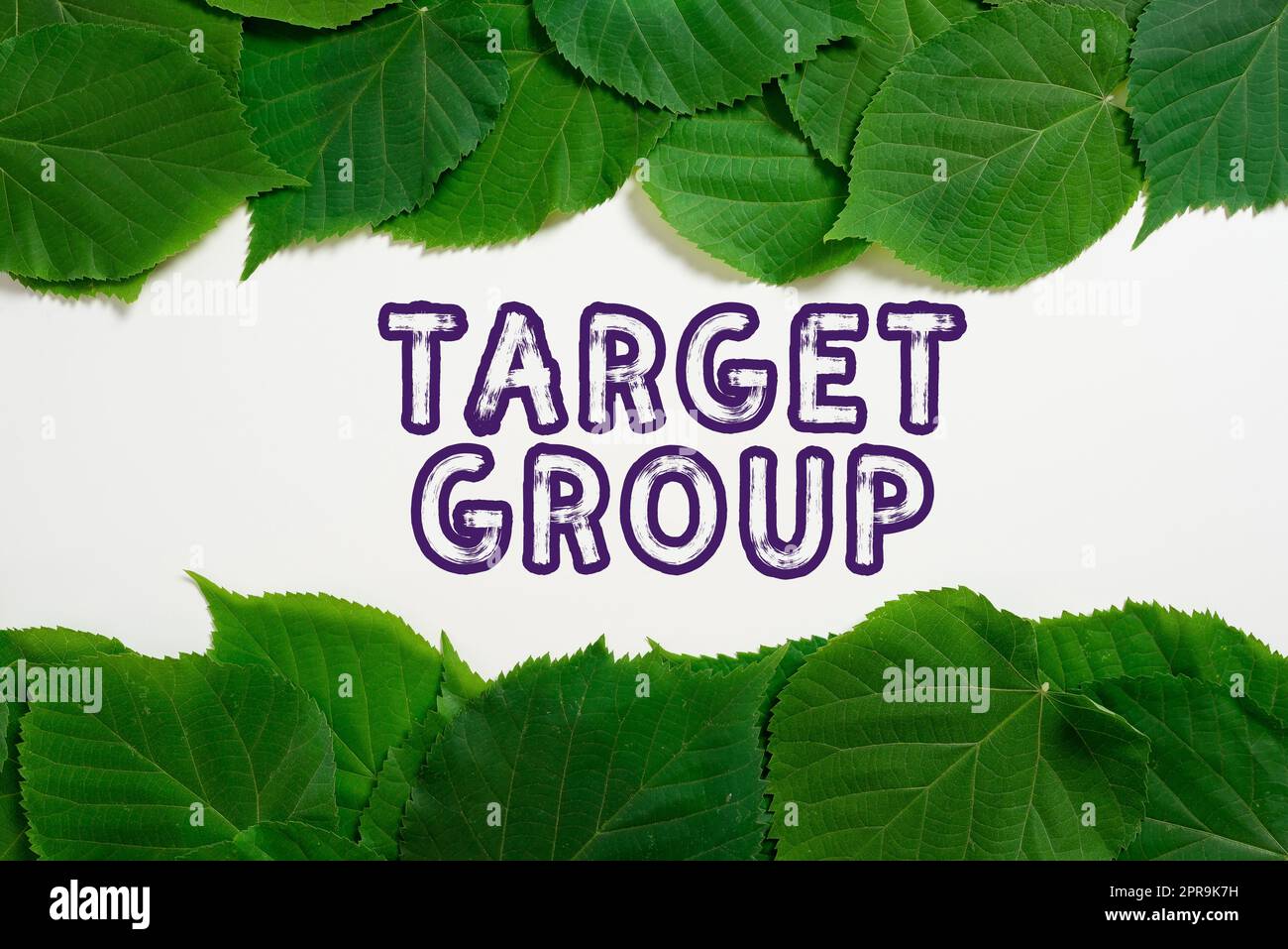 Text sign showing Target Group. Business approach Particular showing that an advertisement intended to reach to Important Informations Written On Paper Under Lot Of Leaves. Stock Photo