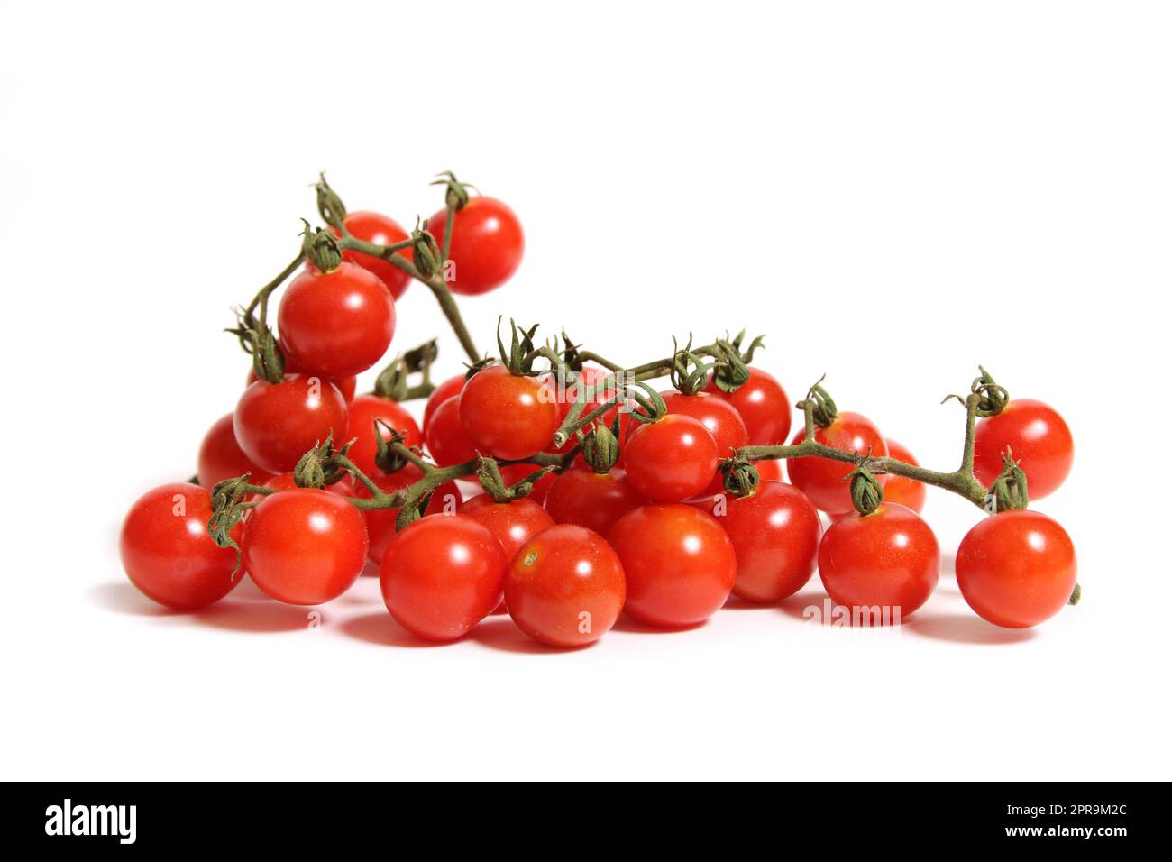 Wild Florida Everglades Cherry Tomatoes Isolated on White Background Stock Photo