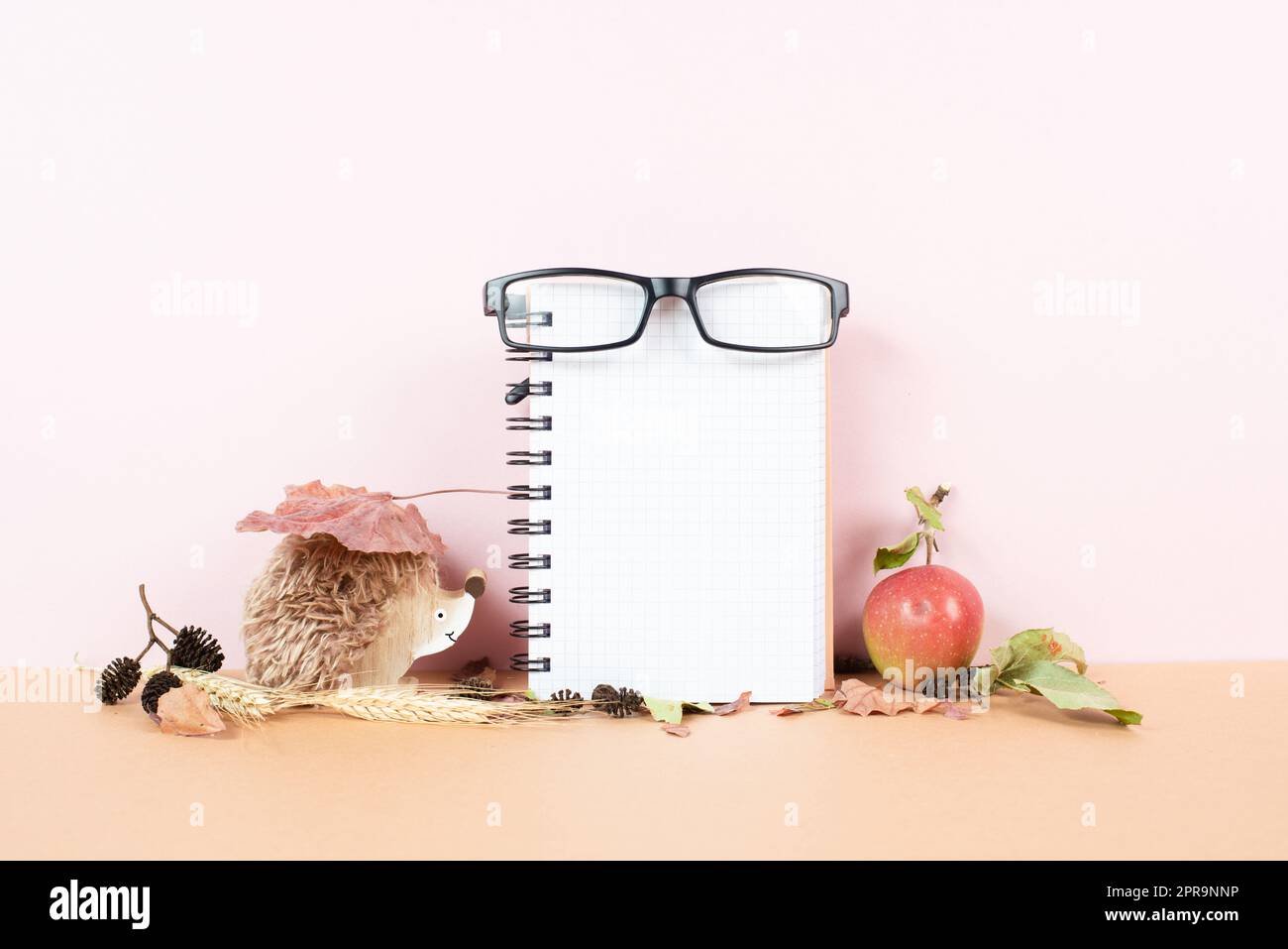 Empty notebook with eyeglasses, an apple and a hedgehog, autumn template with colorful leaves, office desk, pastel color Stock Photo
