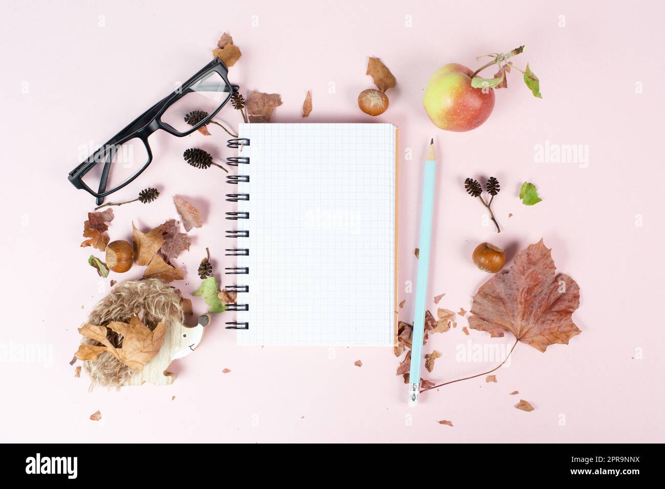 Empty notebook with eyeglasses, an apple and a hedgehog, autumn template with colorful leaves, office desk, pastel color Stock Photo