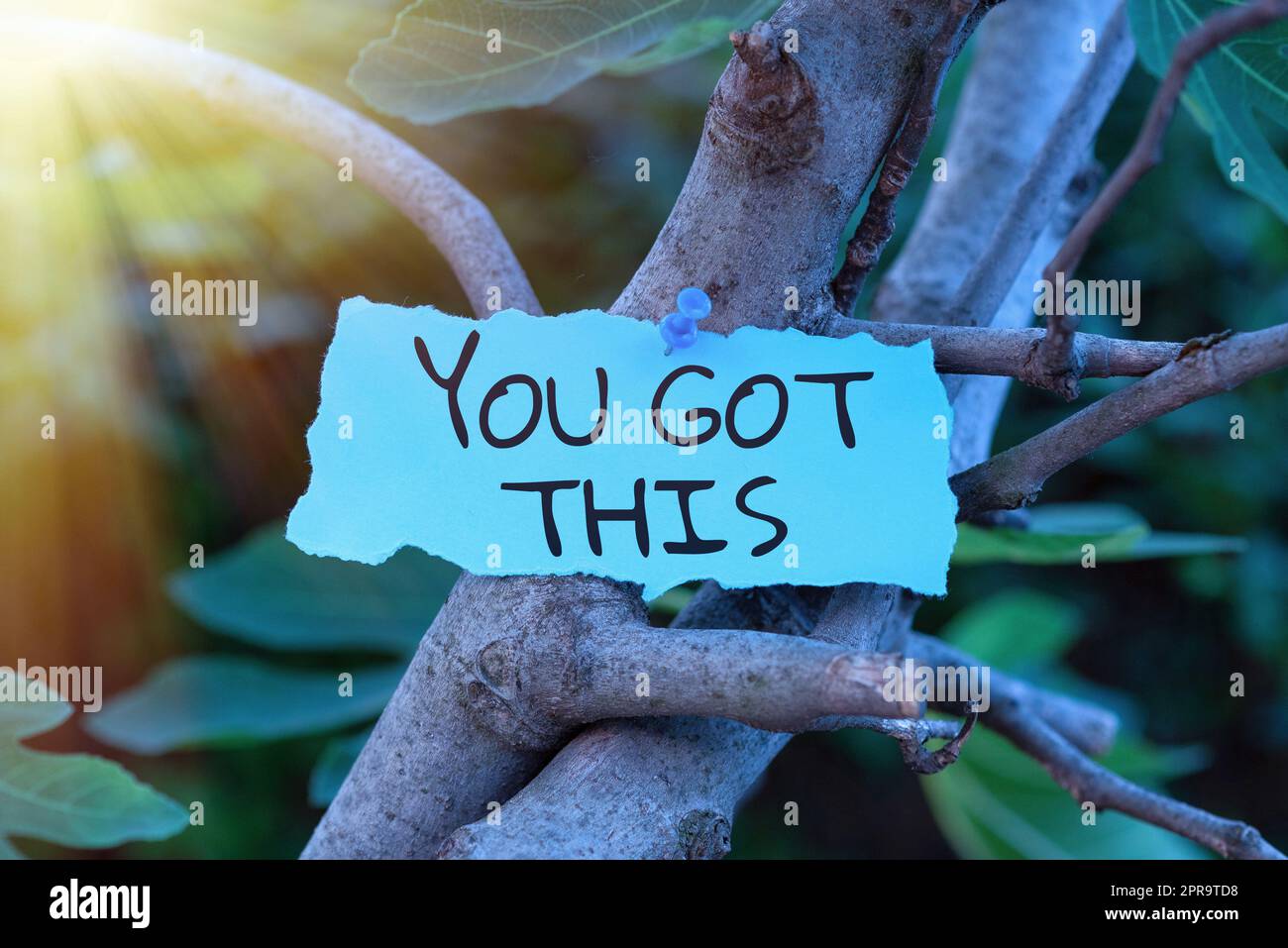 Hand writing sign You Got This. Business overview Inspiration to do it understanding Motivation Positivity Blank Adhesive Note Pinned On Tree Branch For Business Promotion. Stock Photo