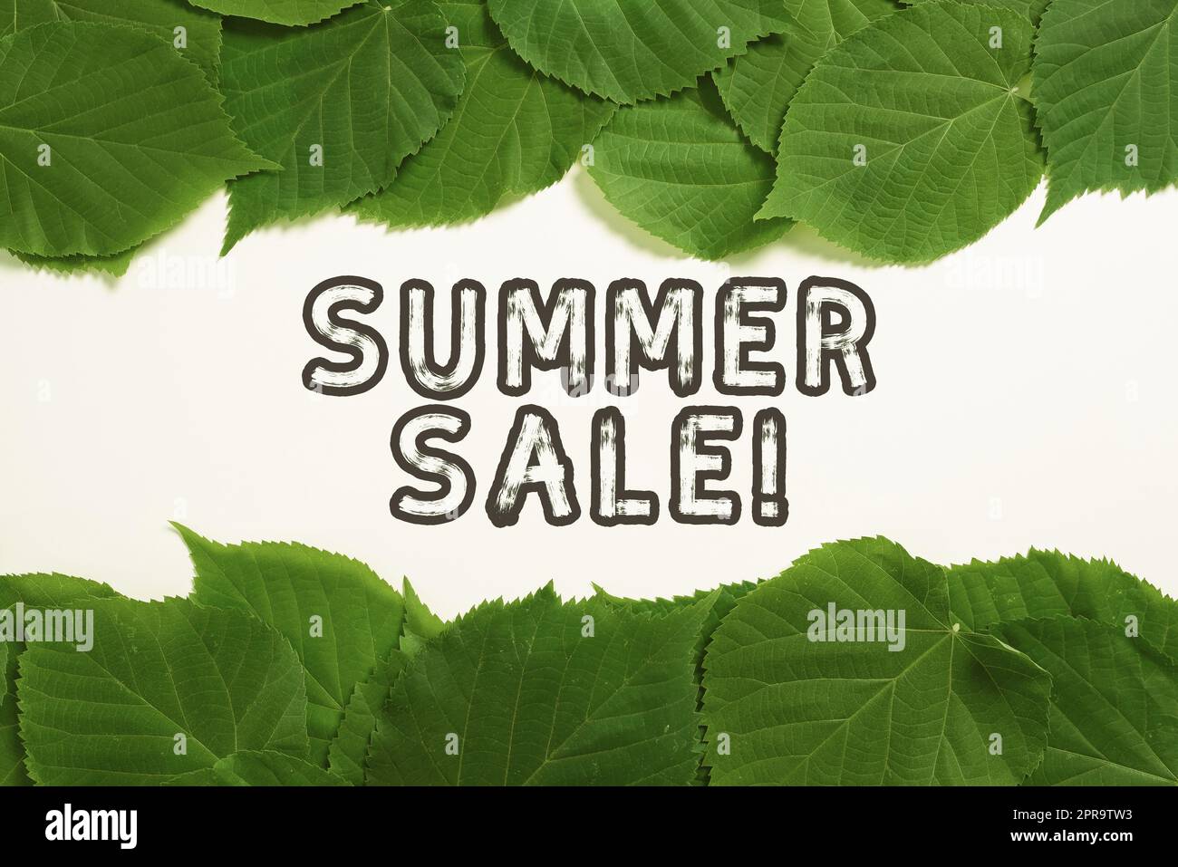 Hand writing sign Summer Sale. Business approach Annual discount events that takes place during summer season Important Informations Written On Paper Under Lot Of Leaves. Stock Photo