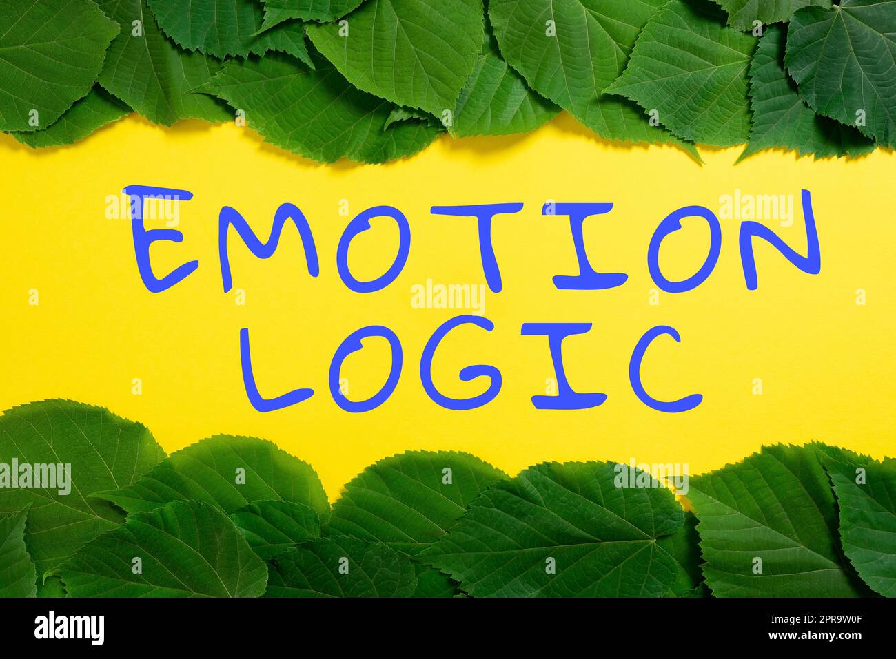 Inspiration showing sign Emotion Logic. Business overview Heart or Brain Soul or Intelligence Confusion Equal Balance Important Informations Written On Paper Under Lot Of Leaves. Stock Photo