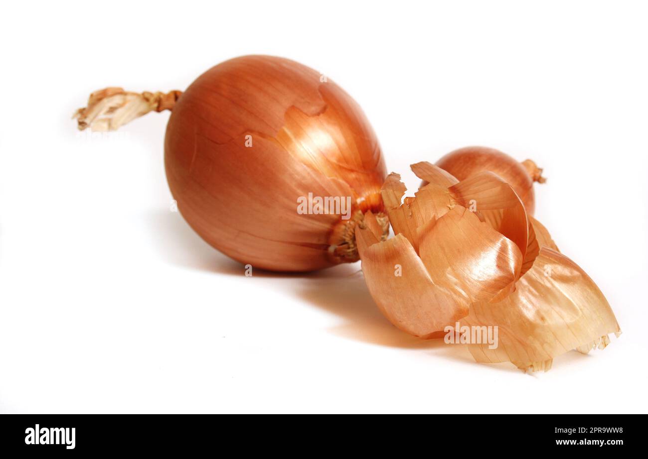 Onion and Onion Peel Isolated on White Background Stock Photo