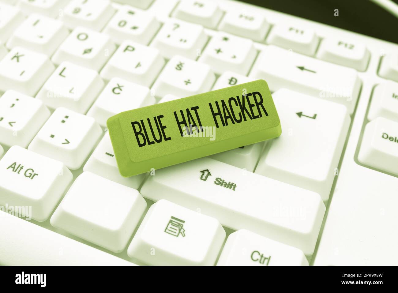 Conceptual display Blue Hat Hacker. Business overview Person consulting firms who bug system prior to its launch -49194 Stock Photo