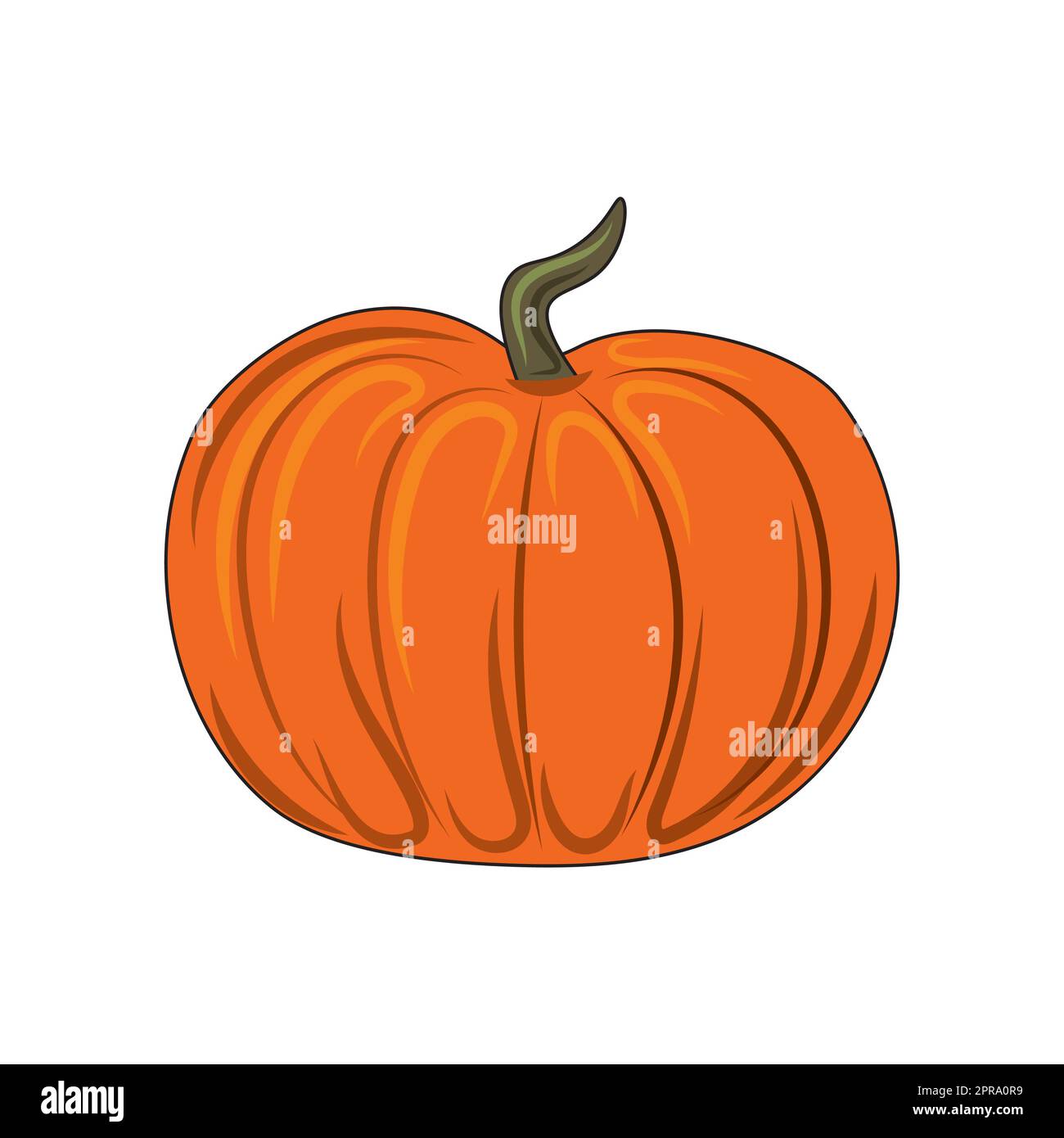 Orange pumpkin isolated on white background, harvest festival - Vector ...