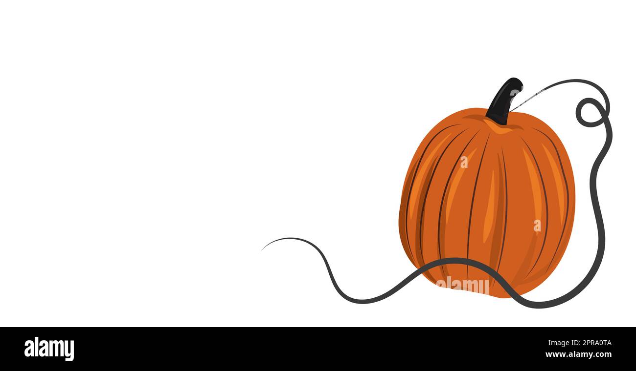 Orange pumpkin isolated on white background, harvest festival - Vector ...