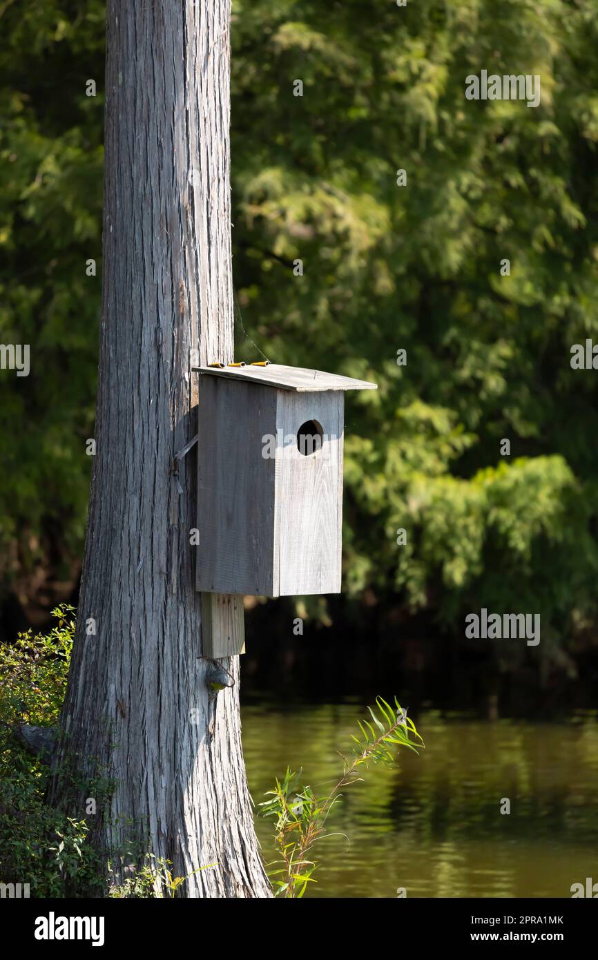 Wood Duck Nesting Box Stock Photo Alamy