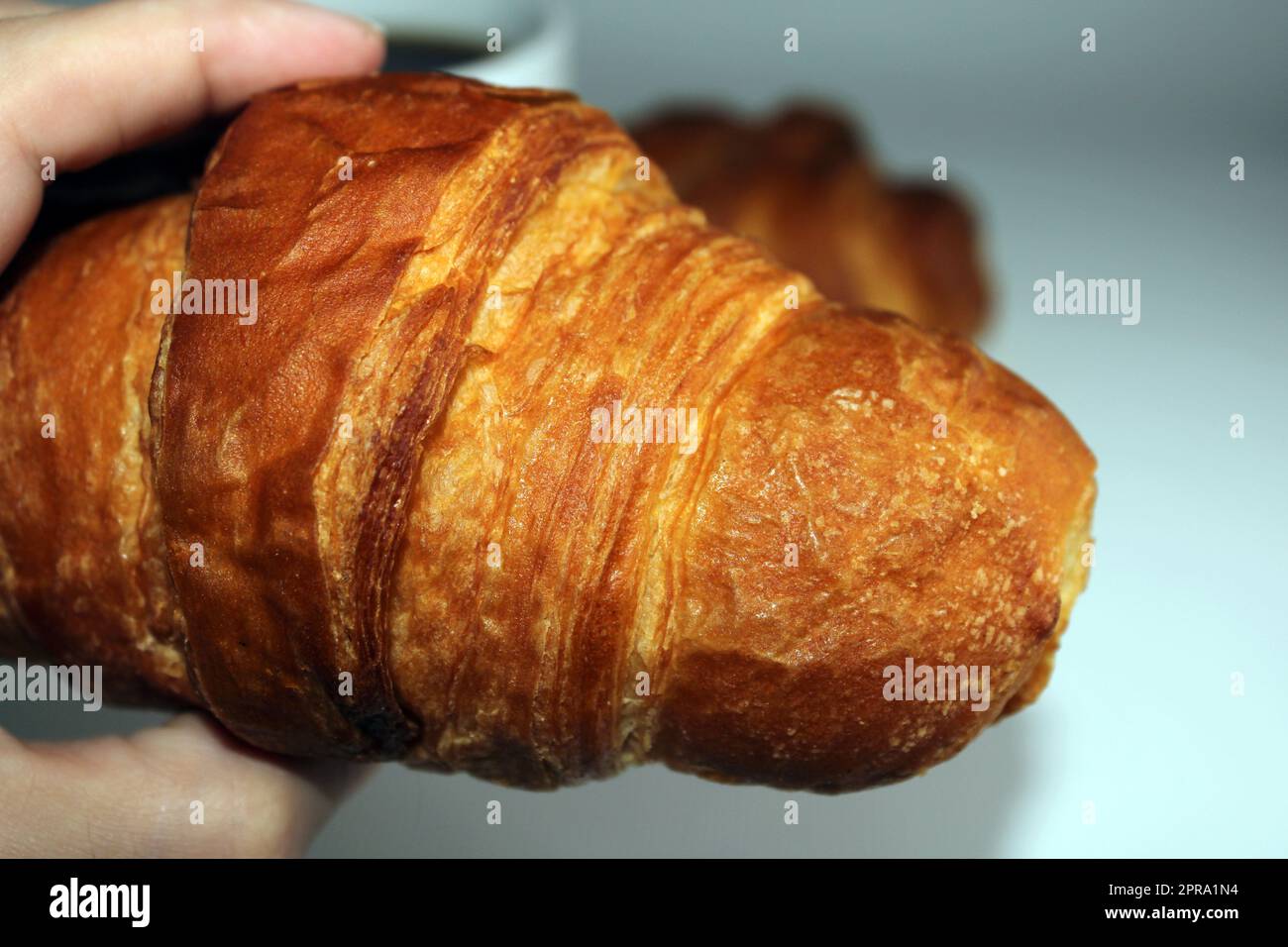 Fresh crispy croissant close-up in hand. Blurred light background. Cooking, home baking Stock Photo