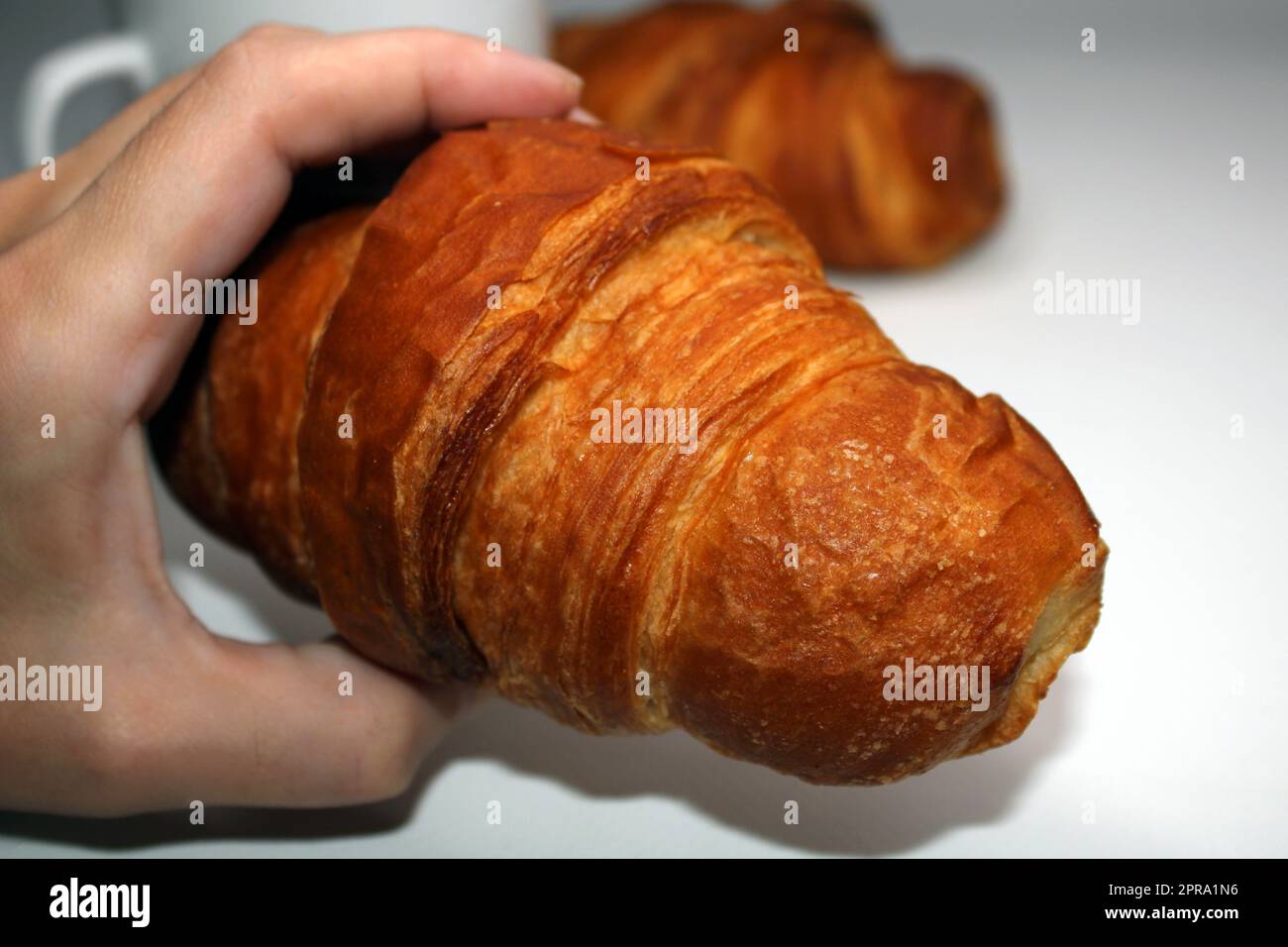 Fresh crispy croissant close-up in hand. Blurred light background. Cooking, home baking Stock Photo