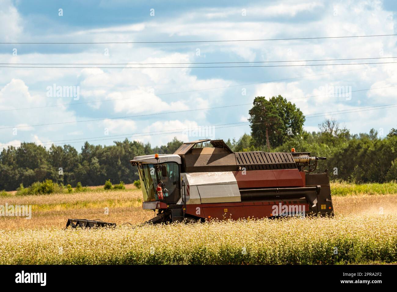 Working Harvesting Combine in the Field Stock Photo