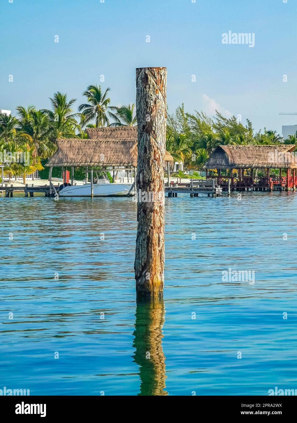 Playa Azul beach palm seascape panorama in Cancun Mexico. Stock Photo