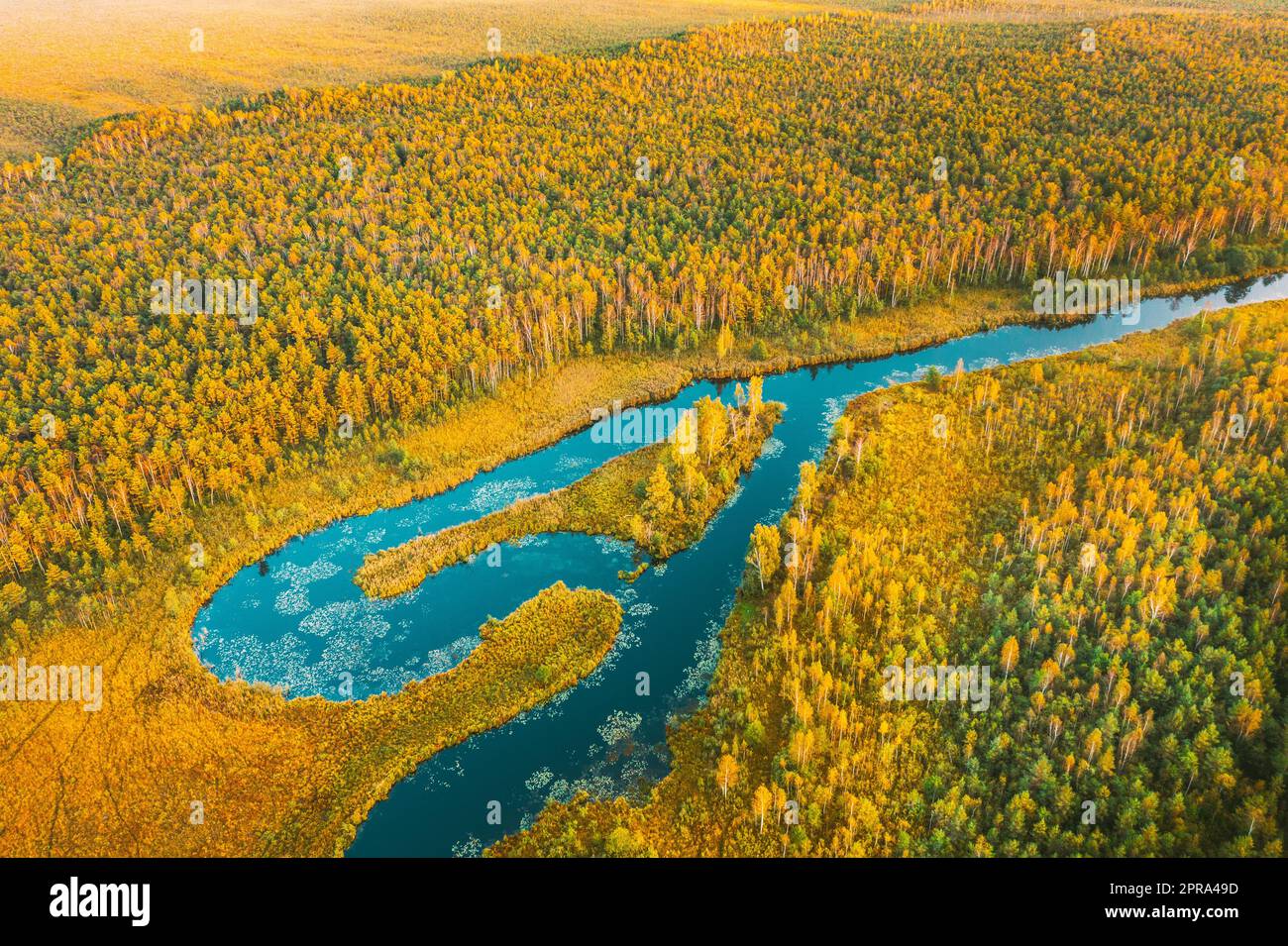 Domzheritsy, Vitebsk Region, Belarus. Buzyanka River. Aerial View Of Summer Curved River Landscape In Autumn Evening. Top View Of Beautiful European Nature From High Attitude In Summer Season Stock Photo