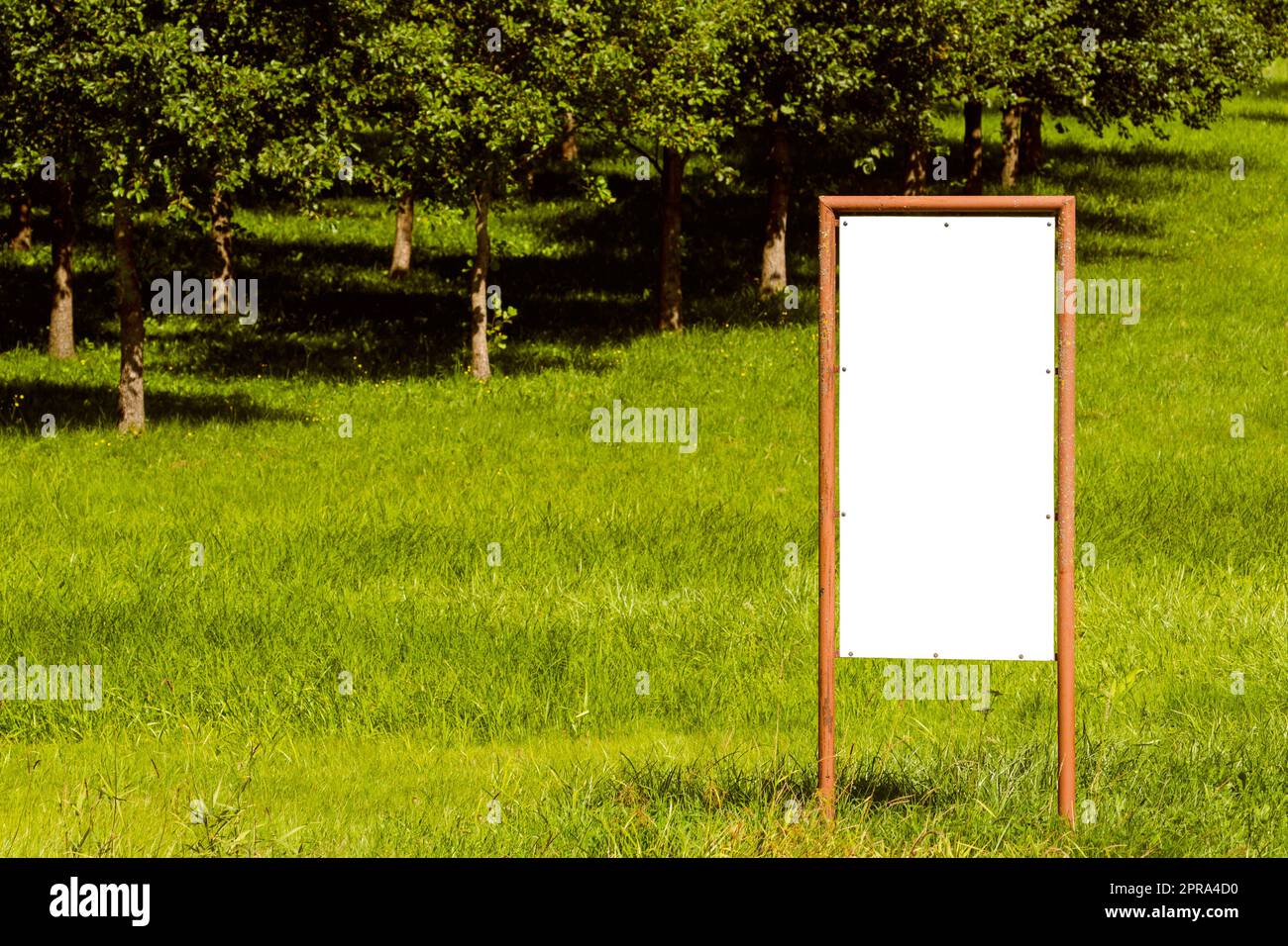 Blank advertising billboard in a meadow against trees Stock Photo