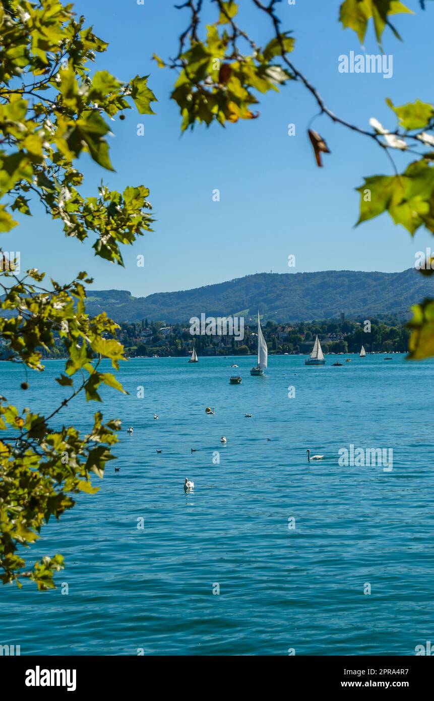 View of Lake Zurich, Switzerland Stock Photo Alamy