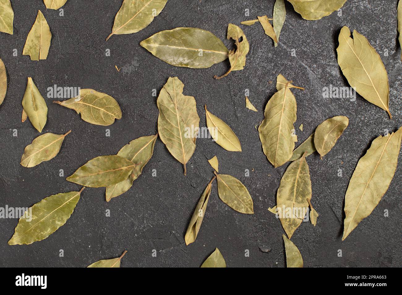 top view dried green leaves composition spread all over the dark