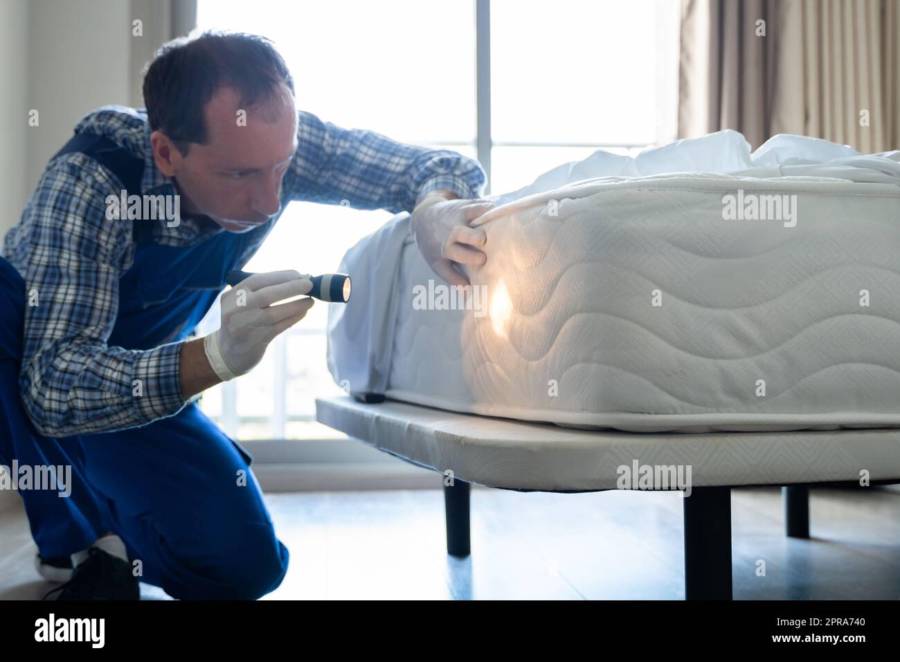 Bed Bug Infestation And Treatment Service Stock Photo Alamy