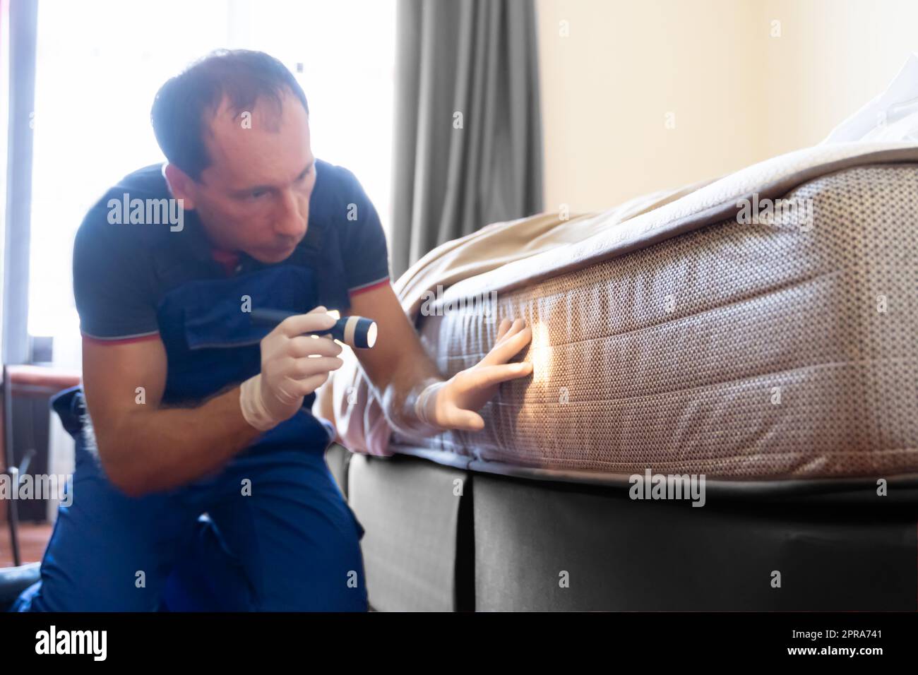 Bed Bug Infestation And Treatment Service Stock Photo Alamy