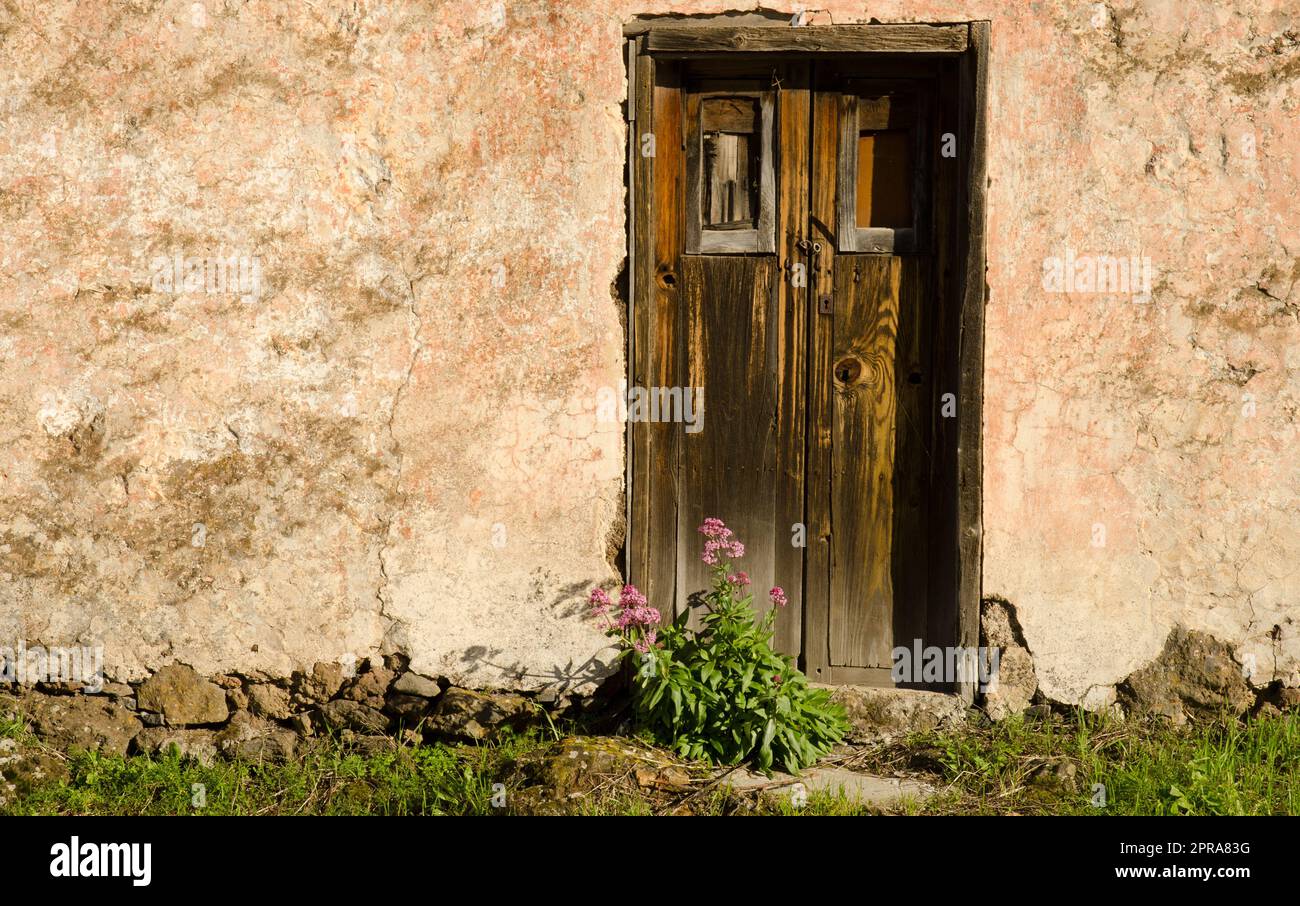 Old wooden door flowers hi-res stock photography and images - Alamy