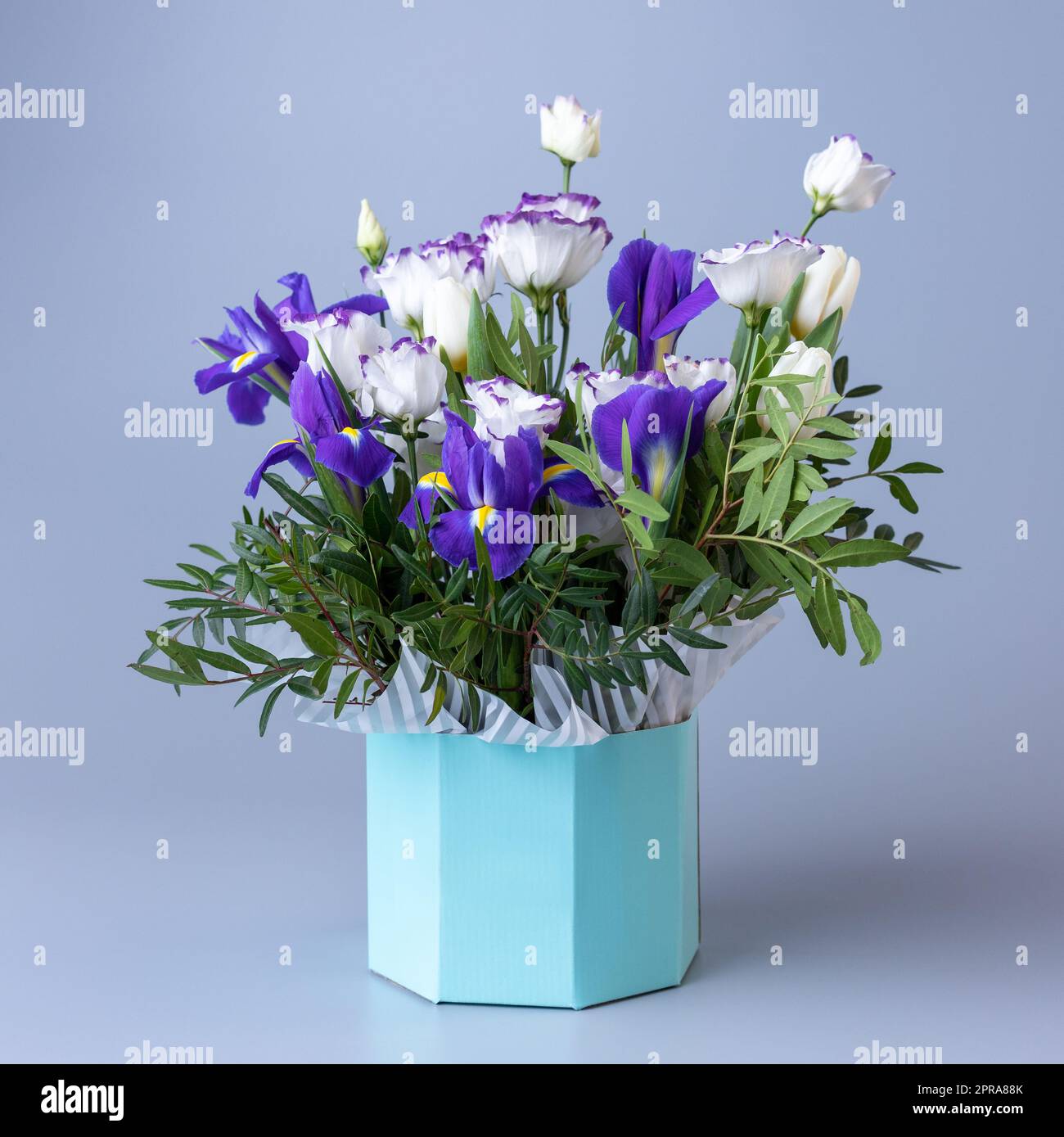 Hat Box Round with Spring Floral Design LARGE Vintage Cardboard