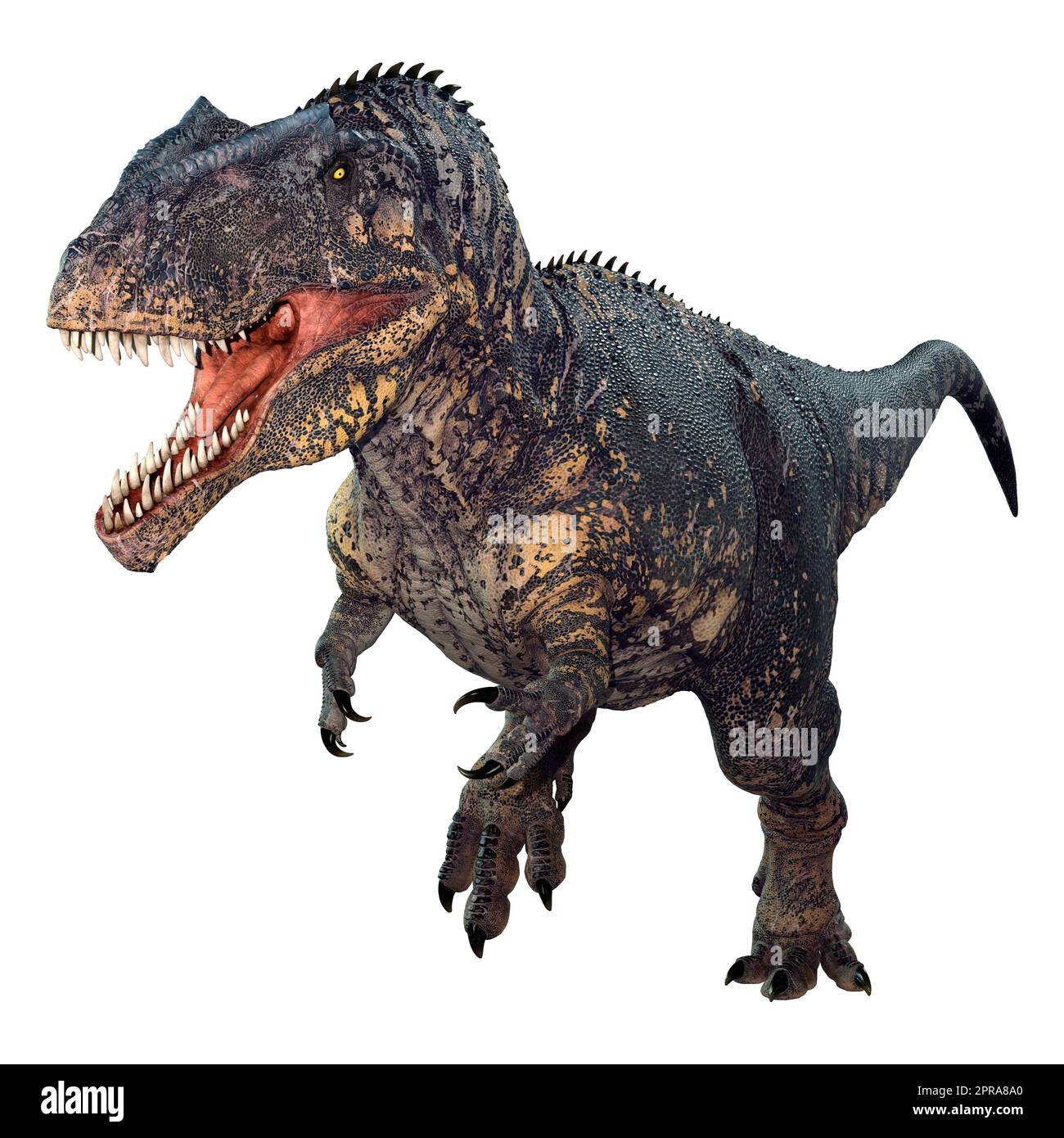 Dino run Cut Out Stock Images & Pictures - Page 2 - Alamy
