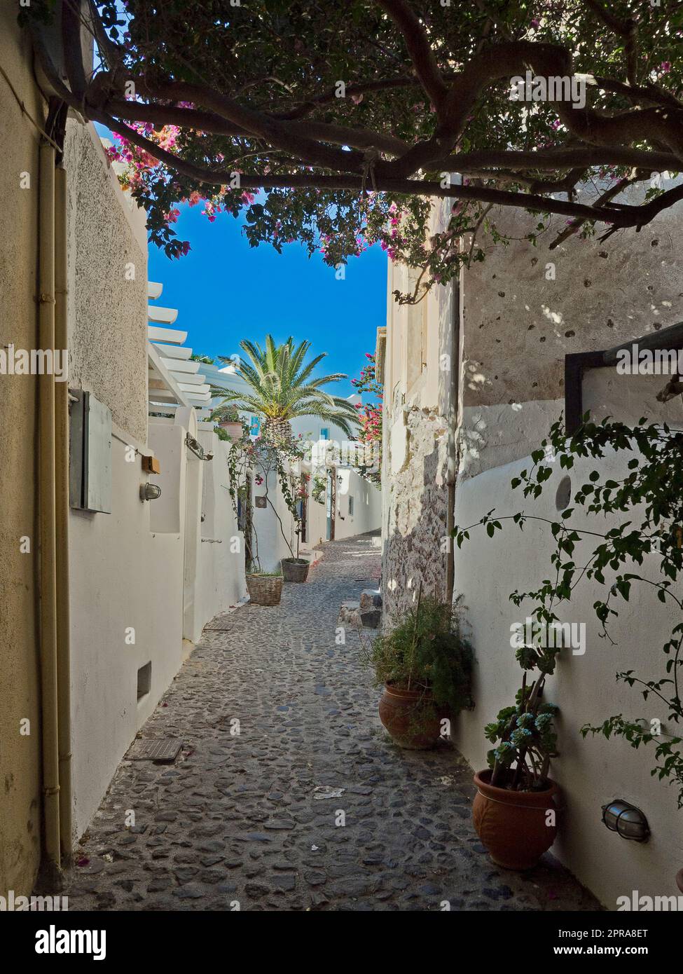 Greece, Santorini - Oia Old Town Stock Photo