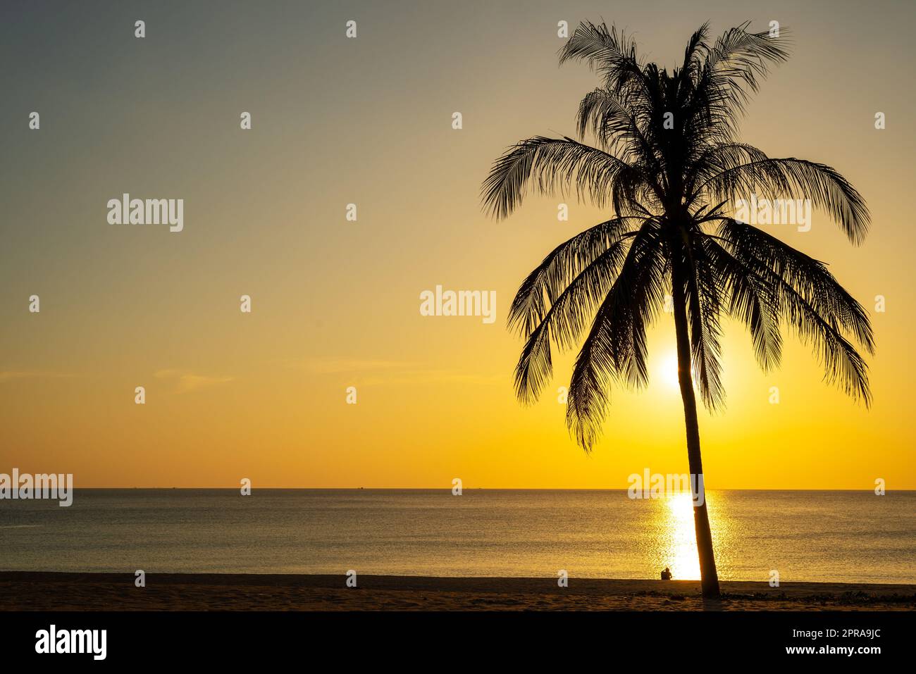 Sunrise with palm tree hi-res stock photography and images - Alamy