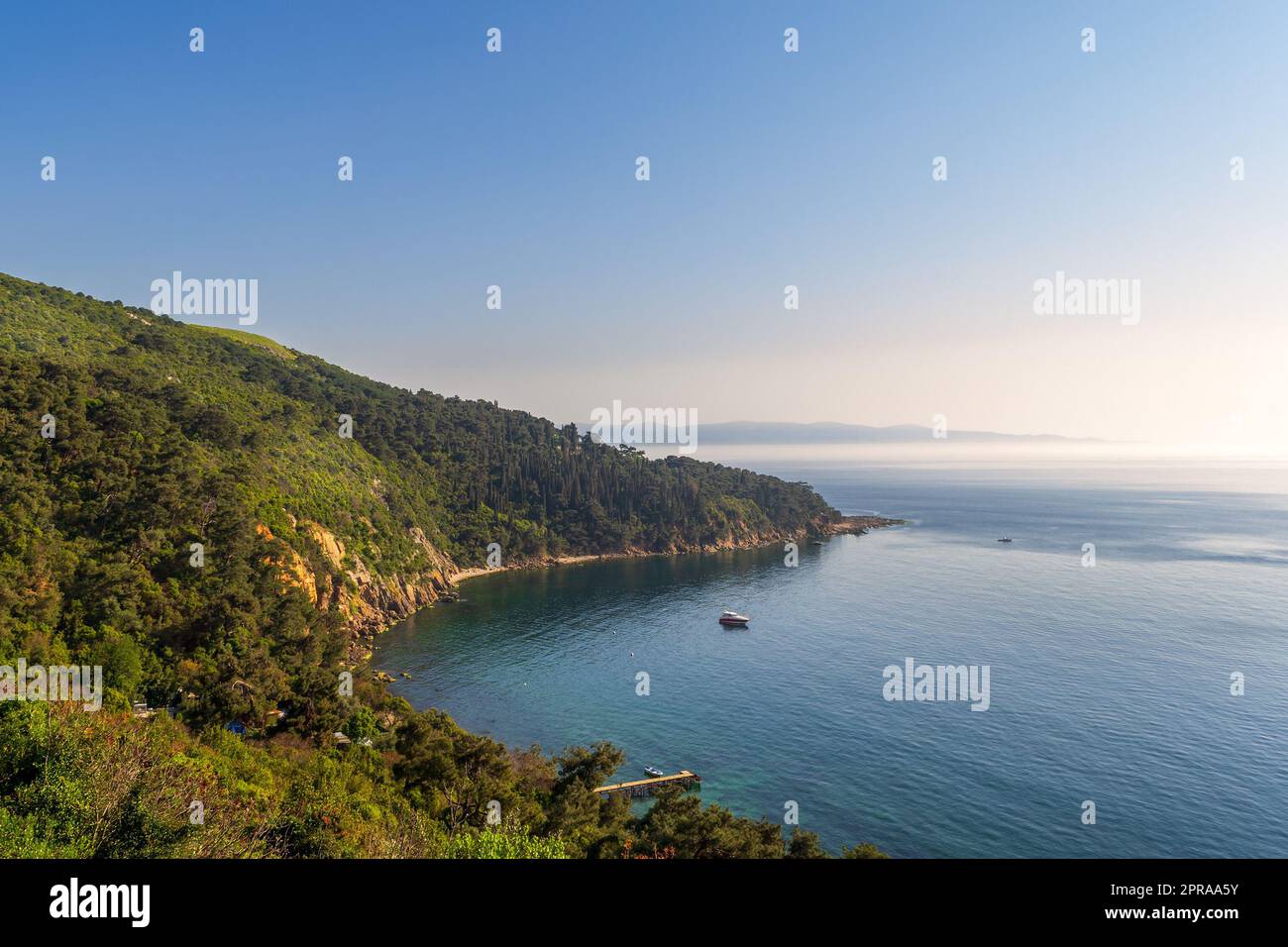 View from the top of mountains of Buyukada island, Marmara Sea, Istanbul, Turkey, with green woods Stock Photo