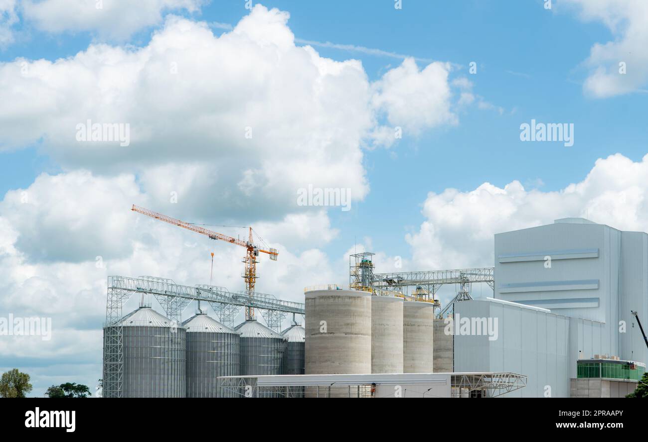 Animal feed factory construction site. Agricultural silo at feed mill factory. Tank for store grain in feed manufacturing. Seed stock tower for commercial animal feed production. Animal food industry. Stock Photo