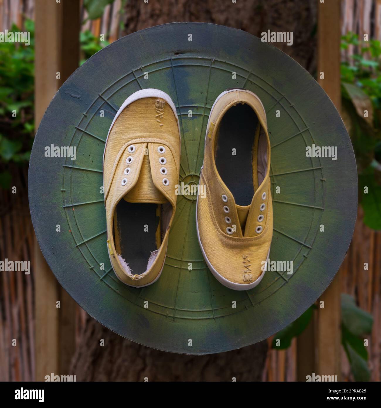 Dartboard shoes best sale