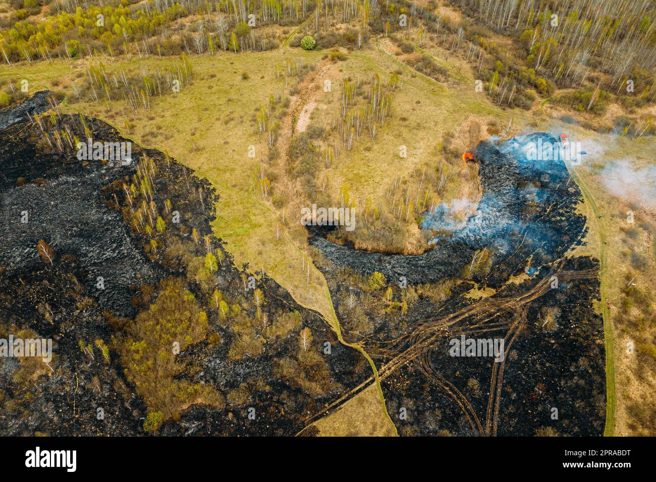 Aerial View. Spring Dry Grass Burns During Drought Hot Weather. Bush Fire And Smoke In Forest. Wild Open Fire Destroys Grass. Nature In Danger. Ecological Problem Air Pollution. Natural Disaster. Stock Photo