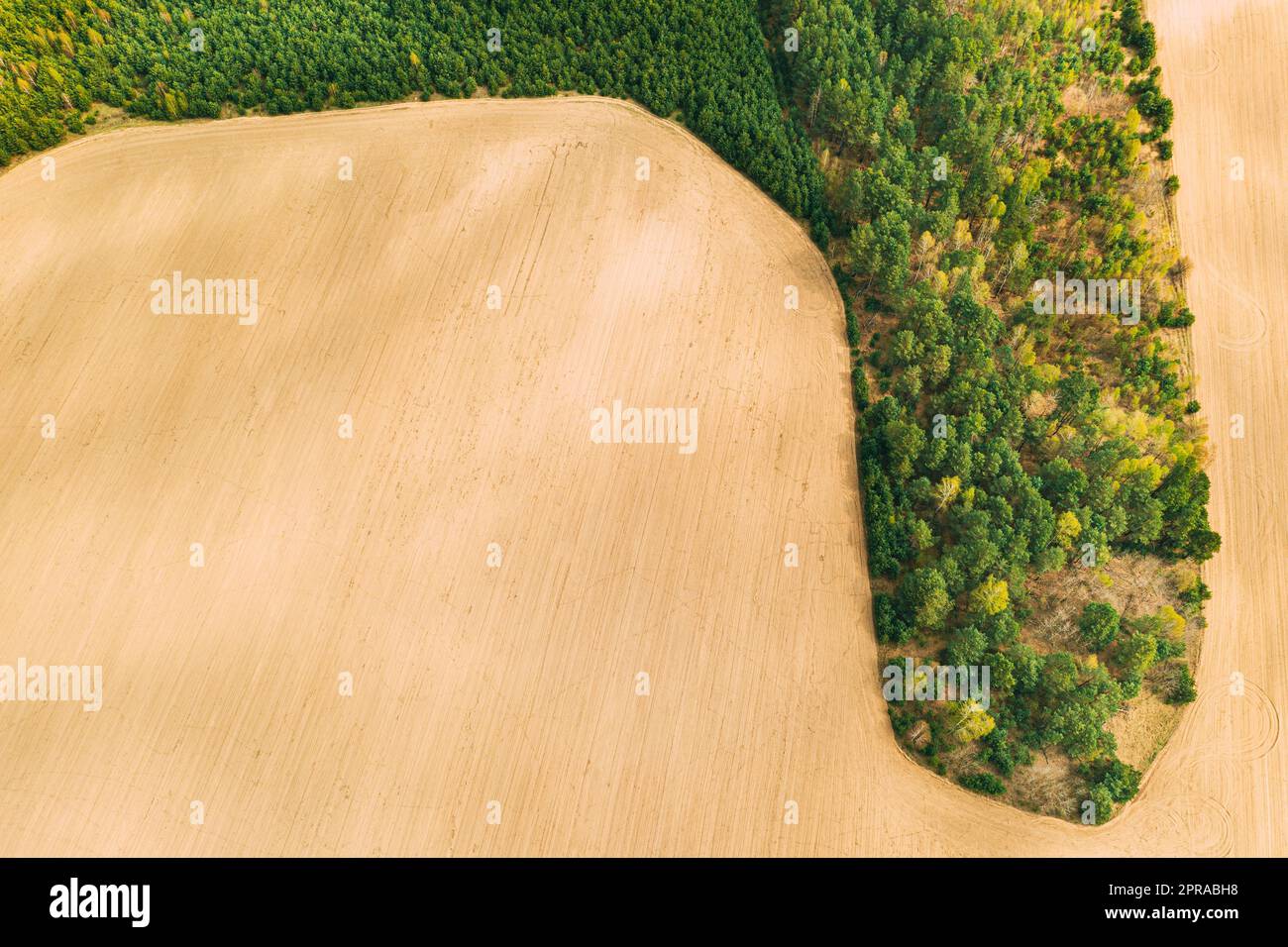 Aerial Top View Of Agricultural Landscape With Growing Forest Trees On Border With Field. Beautiful Rural Landscape In Bird's-eye View. Spring Field With Empty Soil Stock Photo