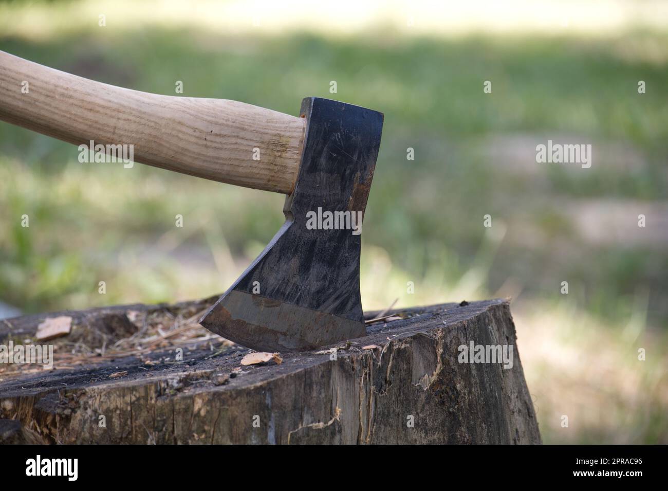 Chopper or axe standing upright in a tree stump Stock Photo Alamy