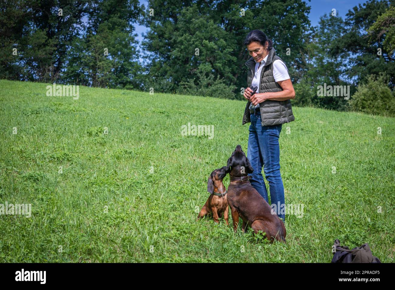 dog trainer gets full attention Stock Photo