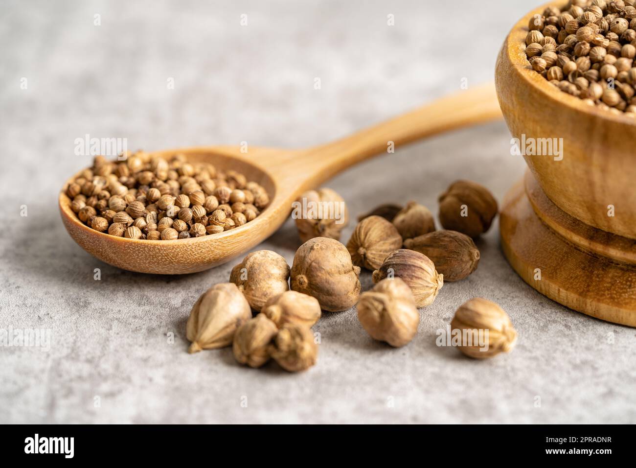 Coriander and siam cardamom, Amomum krervanh Pierre, Asia dried spices