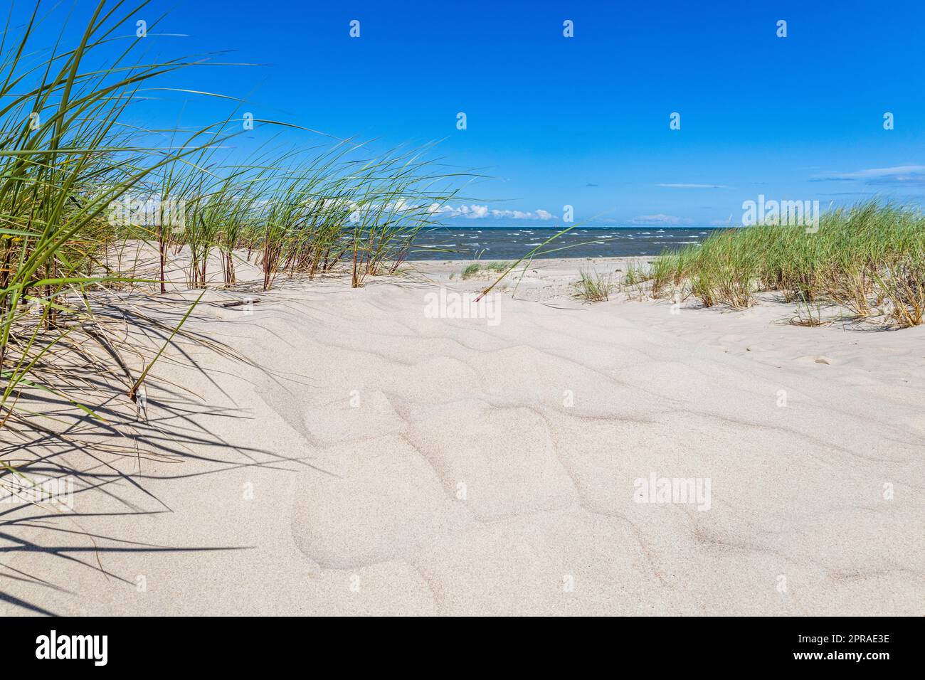 Beautiful sand dunes at the Baltic sea beach Stock Photo
