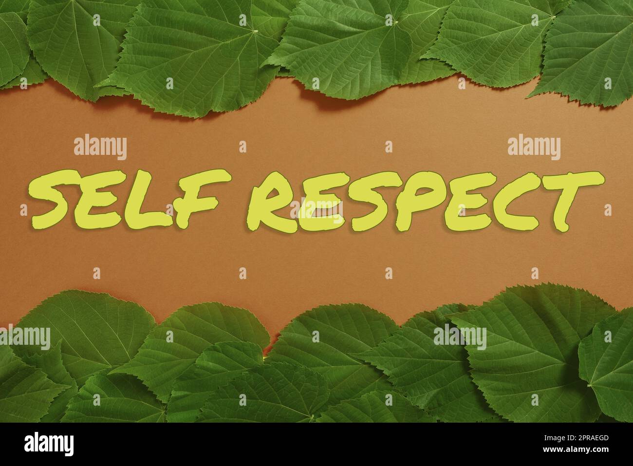 Inspiration showing sign Self Respect. Business approach Pride and confidence in oneself Stand up for yourself Important Informations Written On Paper Under Lot Of Leaves. Stock Photo