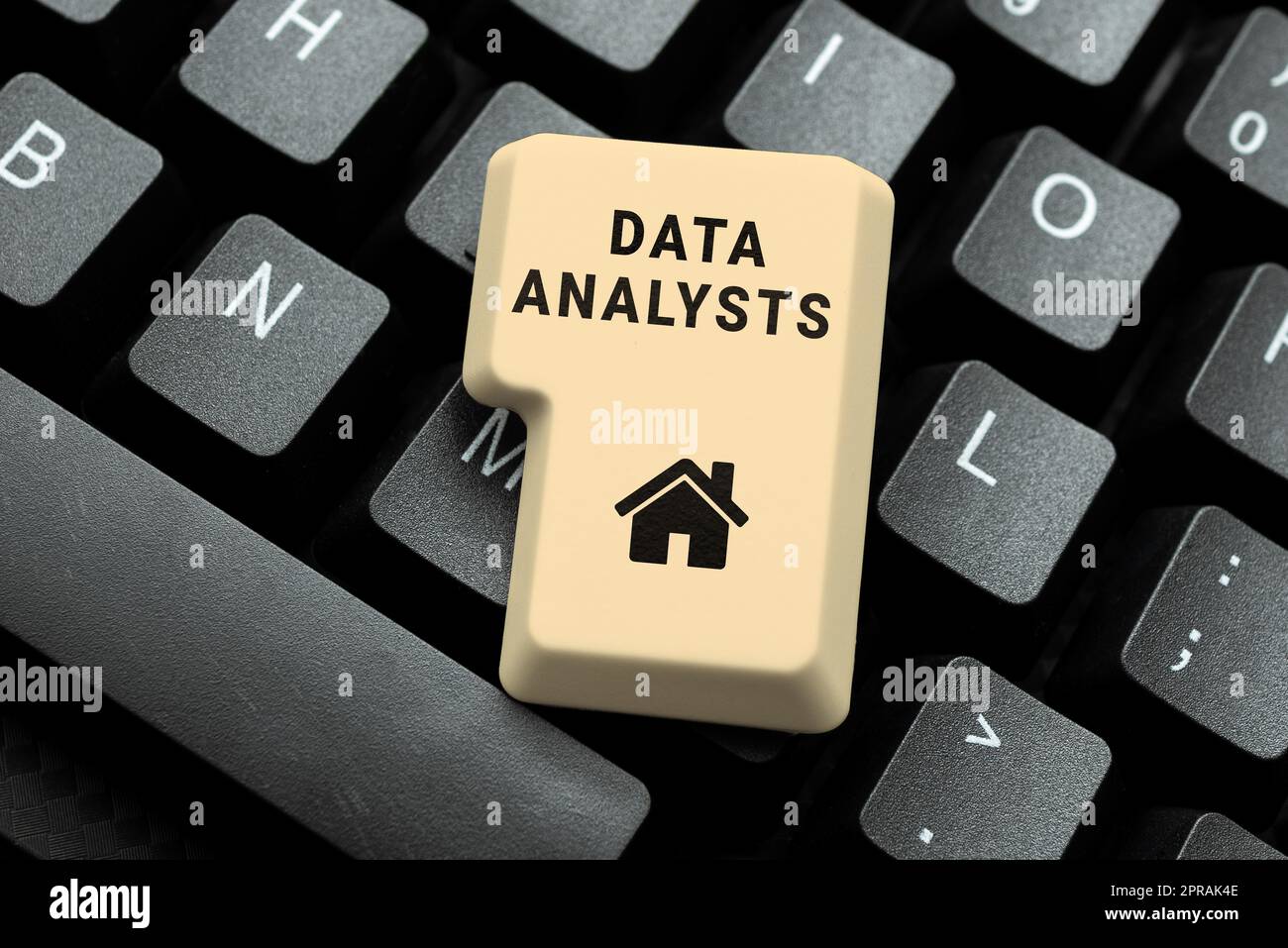 Conceptual caption Data Analysts. Business concept Programmer Design and Create Report Identifies patterns -48801 Stock Photo