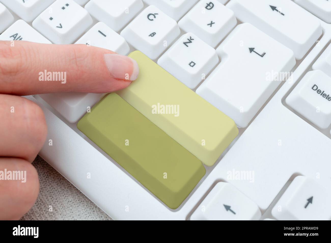 Typing Hospital Records Reports, Creating New Ebook Reading Program