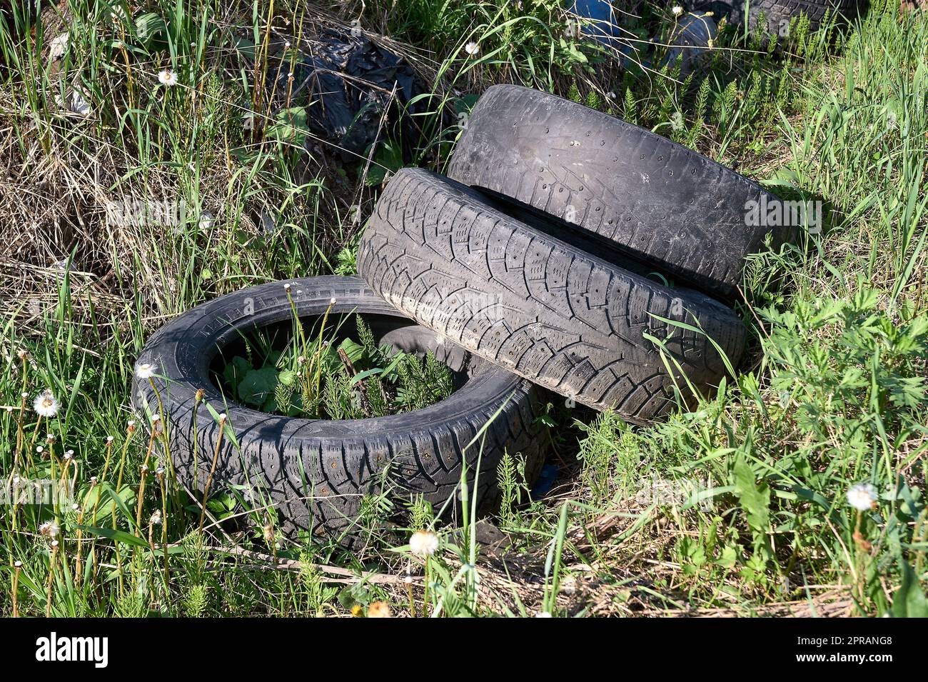 Car tire in grass hires stock photography and images Alamy