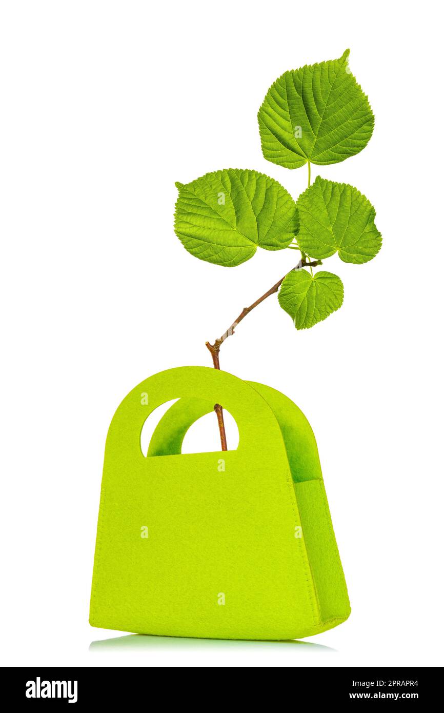 Tree twig growing from a green wool bag Stock Photo