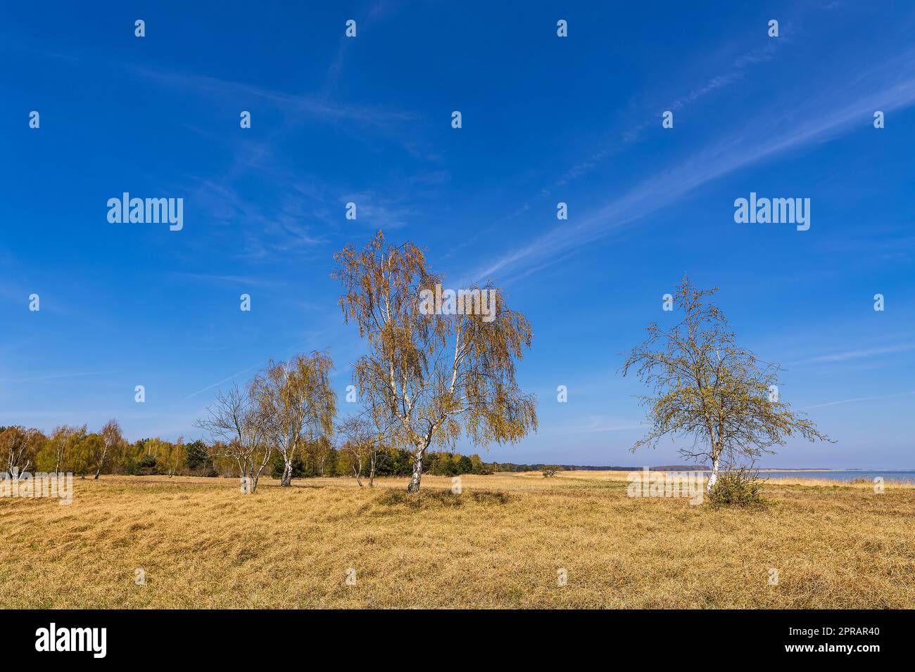 Landscape between Vitte and Neuendorf on the island Hiddensee, Germany Stock Photo